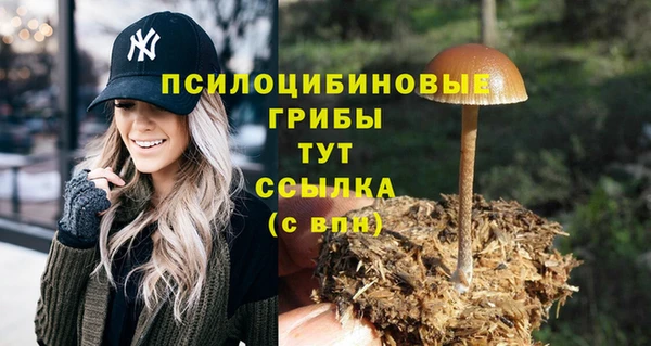 кокаин колумбия Алексеевка