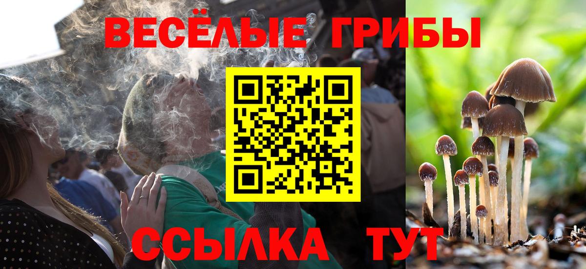 Феодосия  Псилоцибиновые грибы Magic Shrooms  Вход с VPN 